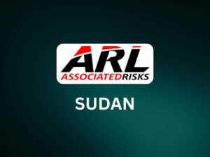 Comprehensive Risk Management Services for International Businesses and NGOs Operating in Damascus, Aleppo, and Deir ez-Zor, Syria