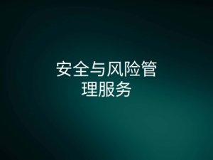 大马士革、阿勒颇叙利亚行动的安全地面运输、驻地风险顾问及现场安全协调员