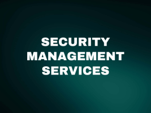 Integrated Risk Mitigation and Journey Management Support for International Corporations, NGOs, and Diplomatic Missions Working in Kyiv, Chernihiv, and Mykolaiv Ukraine