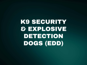 Professional Canine Handlers Operating Explosive Detection Dogs (EDD) During Full-Scale Facility Security Operations Across Baghdad High-Threat Environments, Iraq