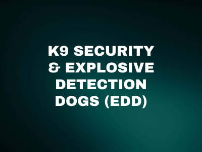 Professional Canine Handlers Operating Explosive Detection Dogs (EDD) During Full-Scale Facility Security Operations Across Baghdad High-Threat Environments, Iraq