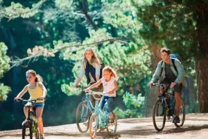 Comprehensive Family Security and Close Protection Services in the Netherlands Ensuring Safety and Peace of Mind for Families in Amsterdam, Rotterdam, and The Hague