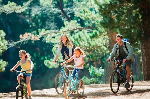 Comprehensive Family Security and Close Protection Services in the Netherlands Ensuring Safety and Peace of Mind for Families in Amsterdam, Rotterdam, and The Hague