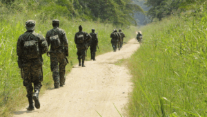 Professional journey management and security services in the Democratic Republic of Congo covering Kinshasa, Goma, and Lubumbashi