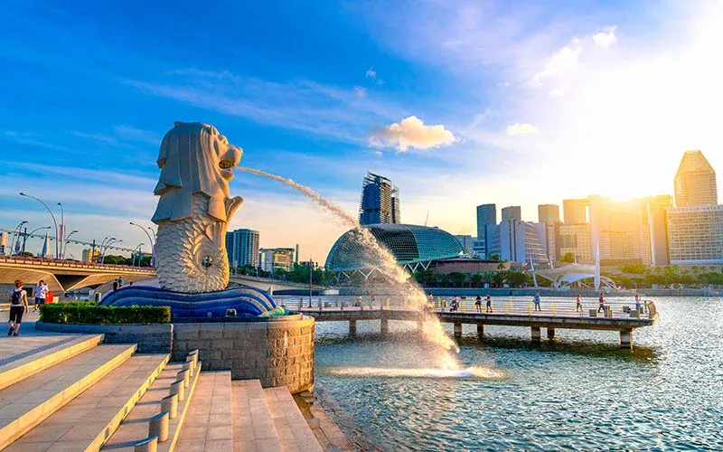 Close Protection Services in Singapore